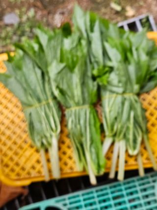 김시헌 님의 작성글 사진