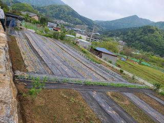 이박농장님의 자유주제 · 자유게시판 작성글 사진