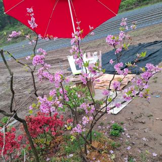 오영도님의 자유주제 · 자유게시판 작성글 사진