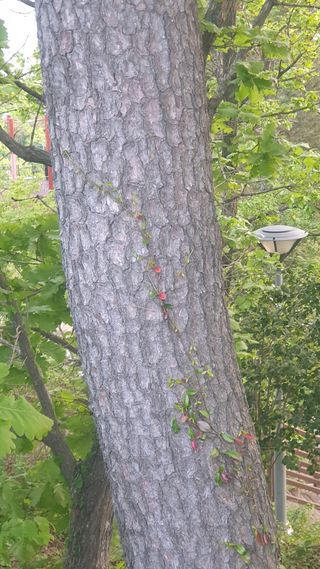 마늘양파참님의 자유주제 · 자유게시판 작성글 사진