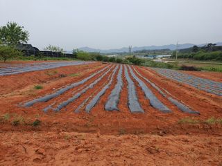 마바리63님의 자유주제 · 자유게시판 작성글 사진