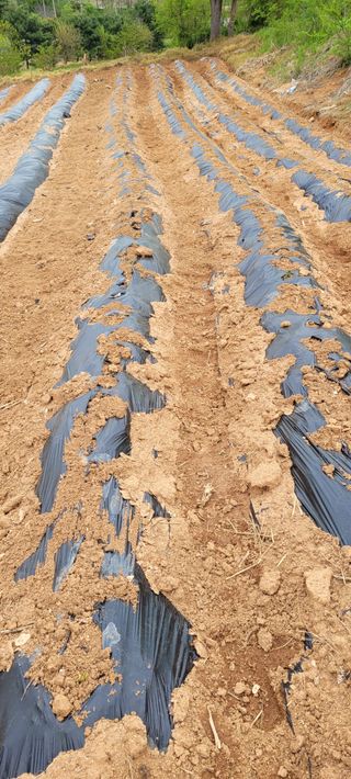 한성님의 자유주제 · 자유게시판 작성글 사진