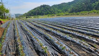 박재규님의 자유주제 · 자유게시판 작성글 사진