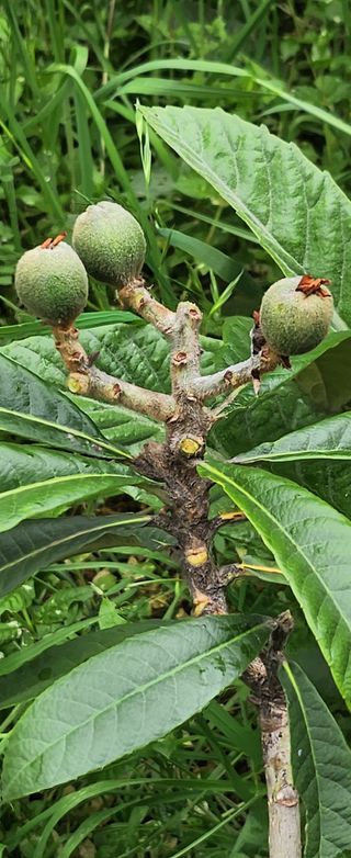 김상철님의 자유주제 · 자유게시판 작성글 사진