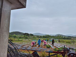 김영진(전남영광)님의 자유주제 · 자유게시판 작성글 사진