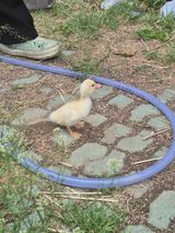 팜모닝 자유주제·자유게시판 게시글 이미지