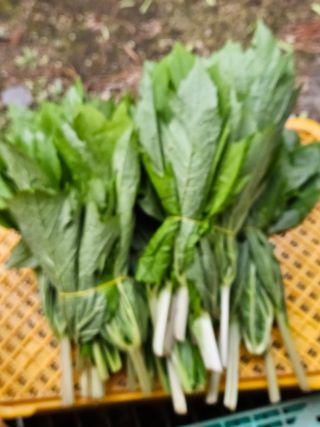 김시헌 님의 작성글 사진