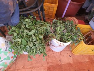 마바리63님의 자유주제 · 자유게시판 작성글 사진