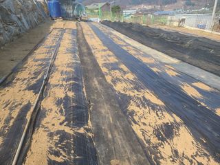 이박농장님의 자유주제 · 자유게시판 작성글 사진