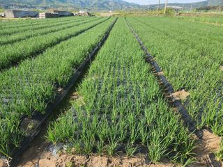 갑돌이님의 자유주제 · 자유게시판 작성글 사진