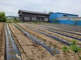 찬균park님의 자유주제·자유게시판 작성글 사진