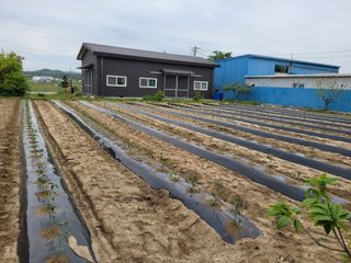 찬균park님의 자유주제 · 자유게시판 작성글 사진