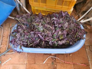 마바리63님의 자유주제 · 자유게시판 작성글 사진