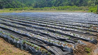 박재규님의 자유주제 · 자유게시판 작성글 사진