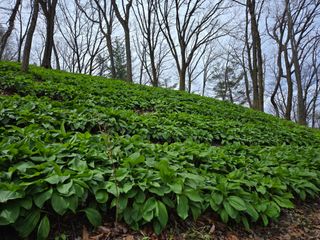 허상원 님의 자유주제 · 자유게시판 작성글 사진