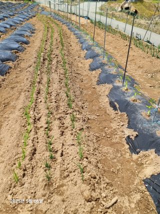 권병☆님의 자유주제 · 자유게시판 작성글 사진