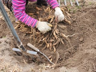 이창신님의 자유주제 · 자유게시판 작성글 사진