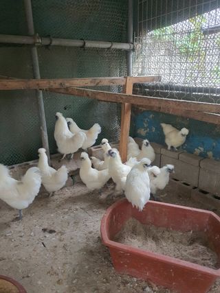 김영복님의 작성글 사진