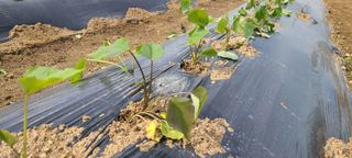 정진해님의 자유주제 · 자유게시판 작성글 사진