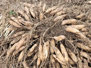 이창신님의 자유주제 · 자유게시판 작성글 사진