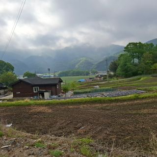 오영도님의 자유주제 · 자유게시판 작성글 사진