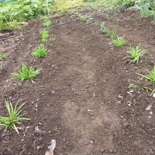 박철용 님의 자유주제 · 자유게시판 작성글 사진