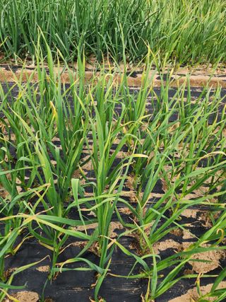 부여최대감님의 자유주제 · 자유게시판 작성글 사진