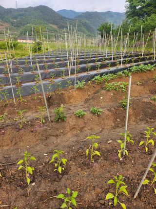 배주원님의 자유주제 · 자유게시판 작성글 사진
