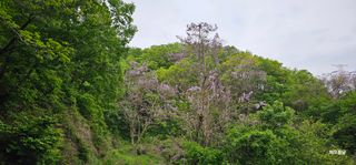 해오름달님의 자유주제 · 자유게시판 작성글 사진