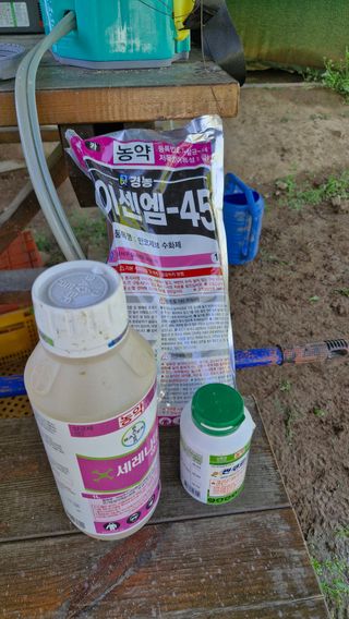 정석구님의 자유주제 · 자유게시판 작성글 사진