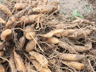 이창신님의 자유주제 · 자유게시판 작성글 사진