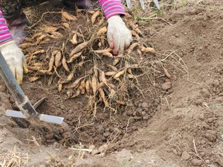 이창신님의 자유주제 · 자유게시판 작성글 사진