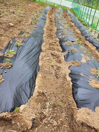 툇골짜기님의 자유주제 · 자유게시판 작성글 사진