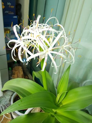 권병☆님의 자유주제 · 자유게시판 작성글 사진