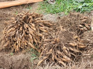 이창신님의 자유주제 · 자유게시판 작성글 사진