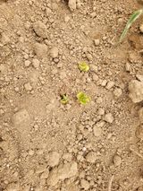 팜모닝 자유주제·자유게시판 게시글 이미지