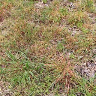 박철용 님의 자유주제 · 자유게시판 작성글 사진