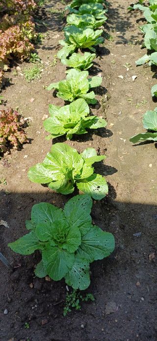 이강재님의 자유주제 · 자유게시판 작성글 사진