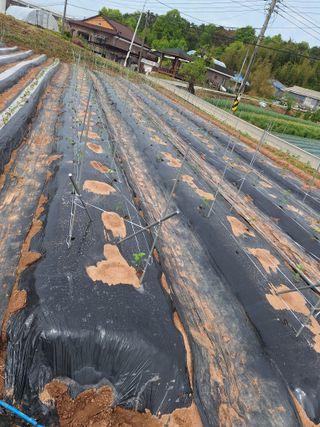 길가다우연히님의 자유주제 · 자유게시판 작성글 사진