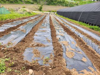 툇골짜기님의 자유주제 · 자유게시판 작성글 사진