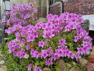 권병☆님의 자유주제 · 자유게시판 작성글 사진