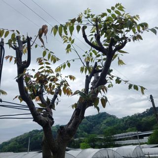 박철용 님의 자유주제 · 자유게시판 작성글 사진