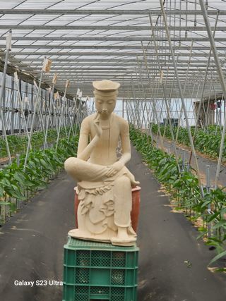 양철주님의 자유주제 · 자유게시판 작성글 사진