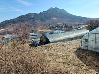 이명관님의 자유주제 · 자유게시판 작성글 사진