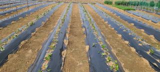 정진해님의 자유주제 · 자유게시판 작성글 사진