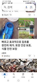 팜모닝 자유주제·자유게시판 게시글 이미지