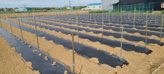 정진해님의 자유주제 · 자유게시판 작성글 사진