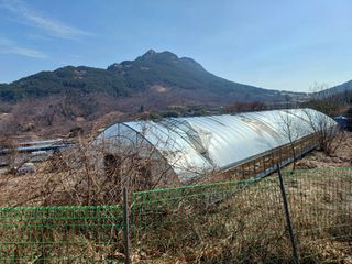 이명관님의 자유주제 · 자유게시판 작성글 사진