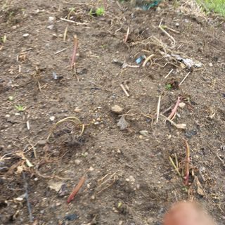 박철용 님의 자유주제 · 자유게시판 작성글 사진