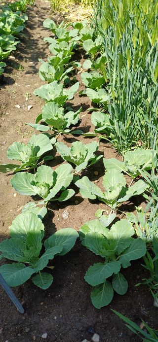 이강재님의 자유주제 · 자유게시판 작성글 사진